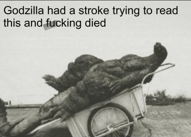 godzilla-had-a-stroke-trying-to-read-this-and-eacking-died-ifunny