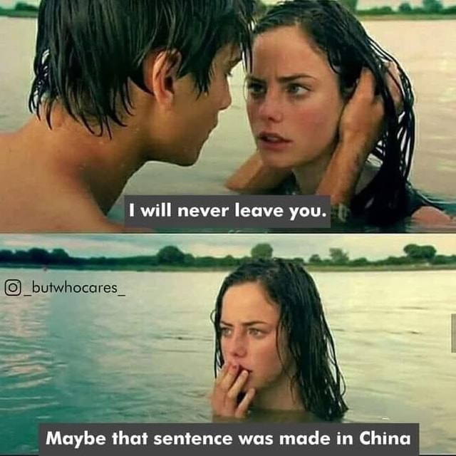 Will never leave you. Maybe that sentence was mace in China iFunny