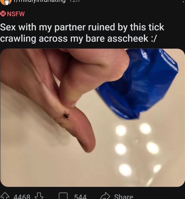 NSFW Sex with my partner ruined by this tick crawling across my bare asscheek SL caa - iFunny