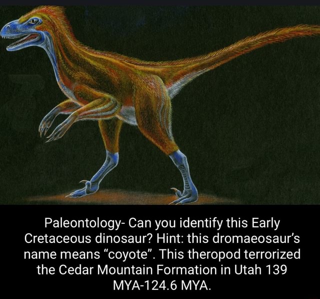 Paleontology- Can you identify this Early Cretaceous dinosaur? Hint ...