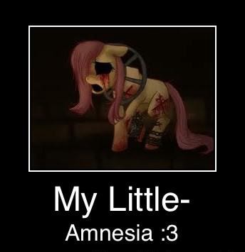 my little pony amnesia