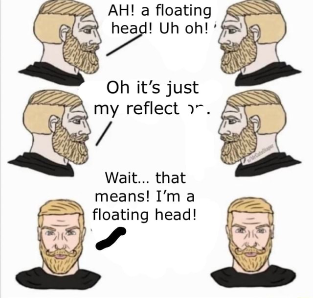 SSS AH! a floating head! Uh oh!' Oh it's just my reflect Wait... that