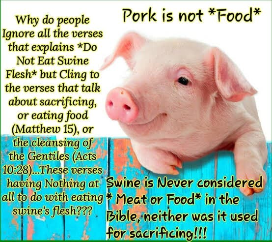 Why do people Pork is not *Food* Ignore all the verses that explains ...