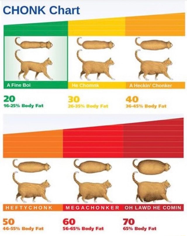 CHONK Chart )