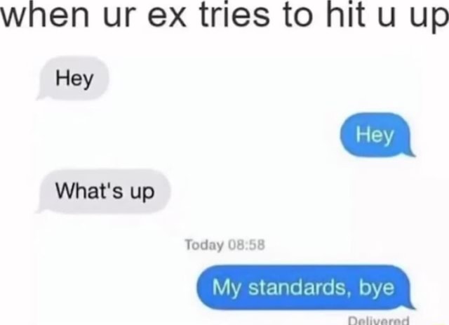 When Ur Ex Tries To Nit Up Hey Whats Up Today My Standards Bye Nheliveared Ifunny 