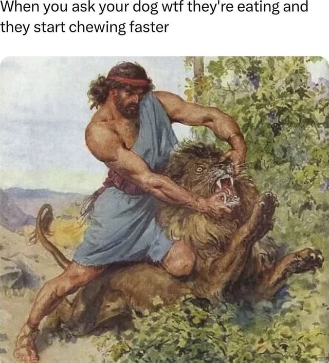 When you ask your dog wtf they're eating ana they start chewing faster ...