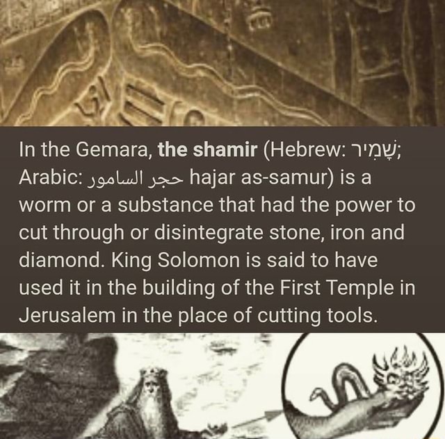 In the Gemara, the shamir (Hebrew Arabic hajar assamur) is a worm or