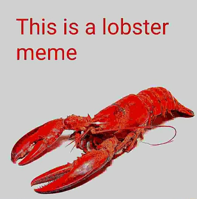 This is a lobster meme iFunny