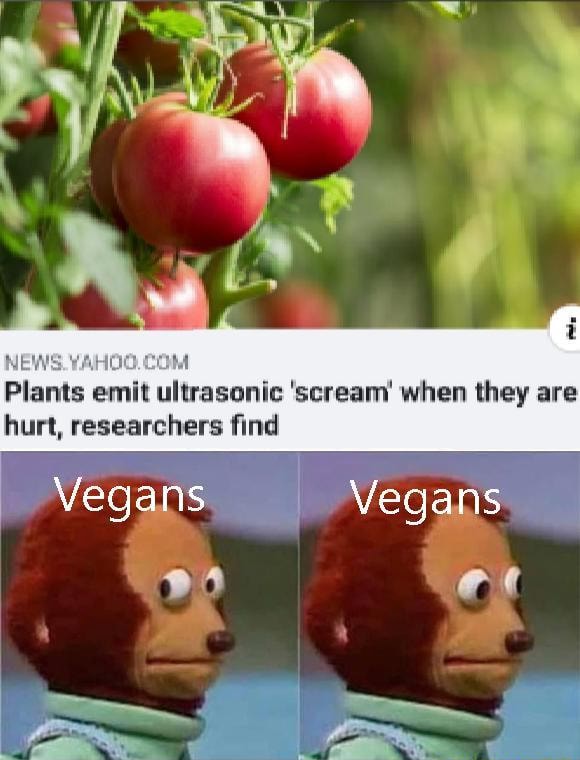 NEWS. Plants emit ultrasonic' scream when they are hurt, researchers