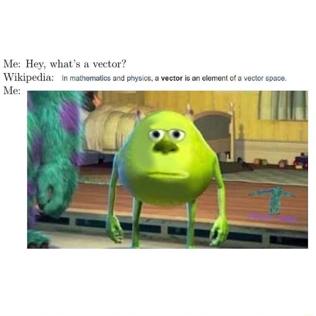 Vector Check Meme Me: Hey, what's a vector? Wikipedia: In mathematics and physics, a ...