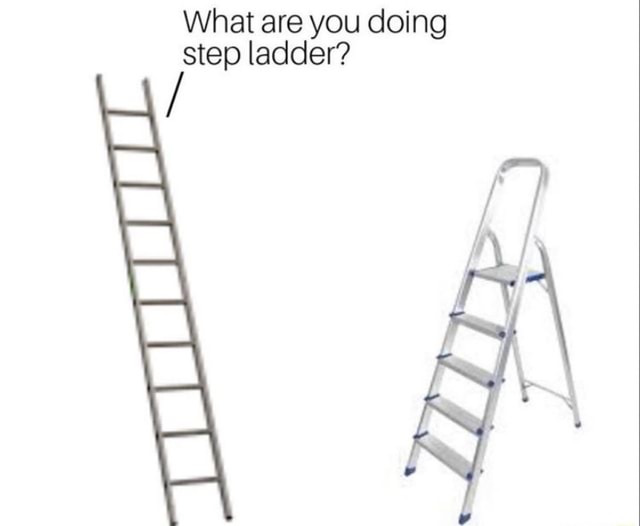 What Are You Doing Step Ladder
