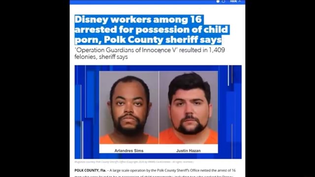 Disney workers among 16 arrested for possession of child porn, Polk ...