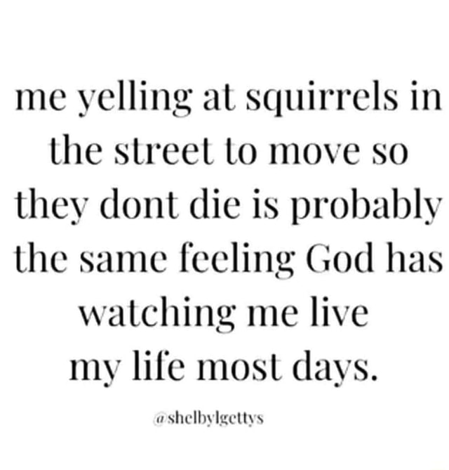 Me yelling at squirrels in the street Lo move so they dont die is