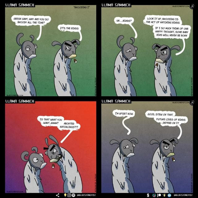 GEESH GARY, WHY ARE YOU SO BROODY ALL THE TIME? LLAMA SAMMICH LOOK IT ...