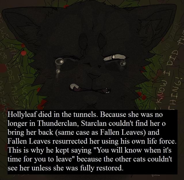 Hollyleaf Died In The Tunnels Because She Was No Longer In Thunderclan Starclan Couldn T ﬁnd Her O Bring Her Back Same Case As Fallen Leaves And Fallen Leaves Resurrected Her Using His