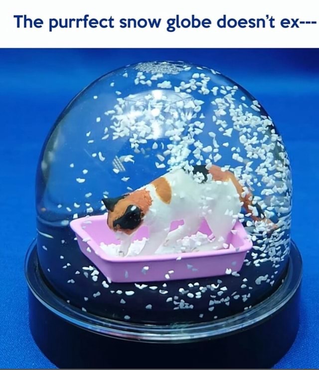 The purrfect snow globe doesn't ex seo.title