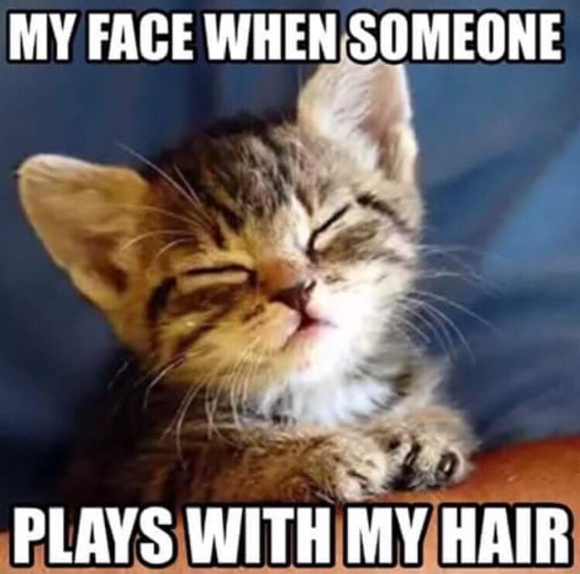 my-face-when-someone-plays-with-my-hair-ifunny