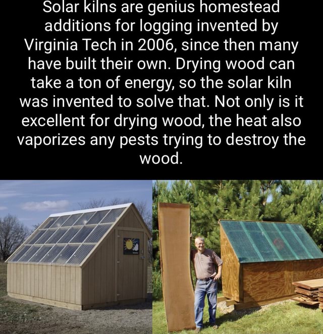 Solar kilns are genius homestead additions for logging invented by