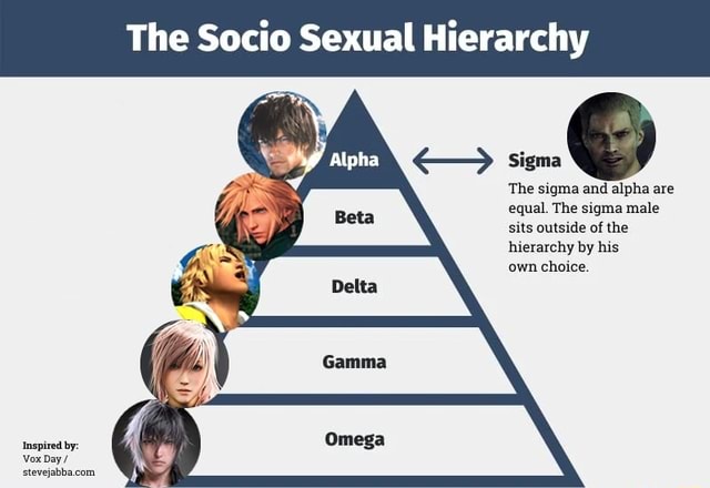 The Socio Sexual Hierarchy Sigma The Sigma And Alpha Are Equal The Sigma Male Sits Outside Of 2568