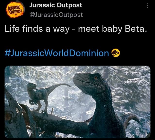 Jurassic Outpost @JurassicOutpost Life finds a way - meet baby Beta. # ...