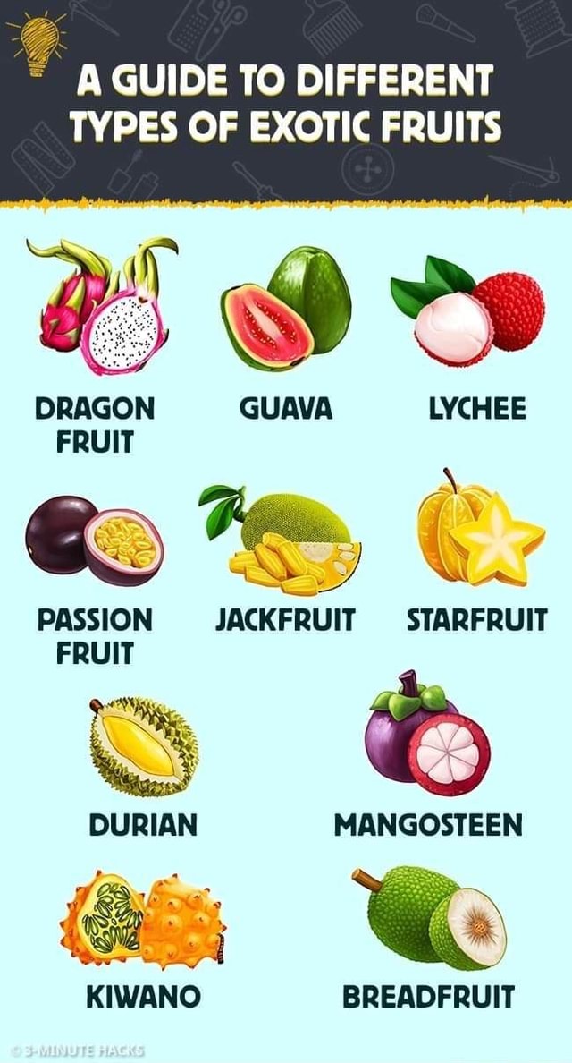 A guide to different types of exotic fruits. - GUIDE TO DIFFERENT TYPES ...