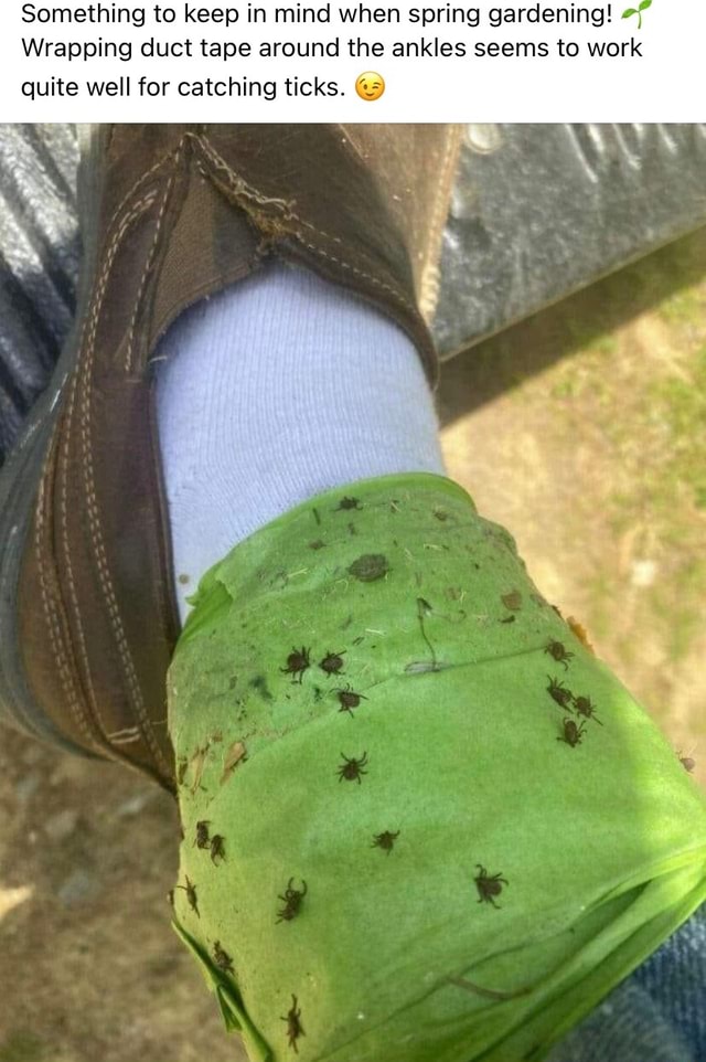 Something to keep in mind when spring gardening! Wrapping duct tape