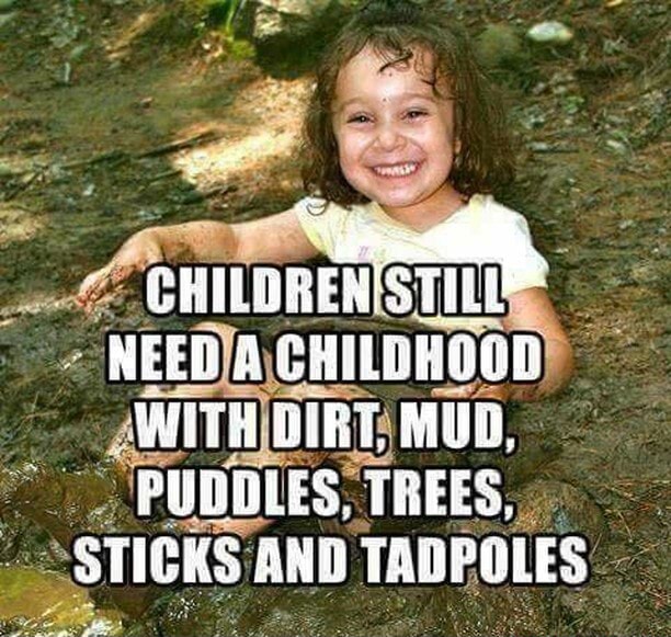 MUD, PUDDLES; TREES, 