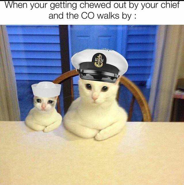 When your getting chewed out by your chief and the CO walks by iFunny