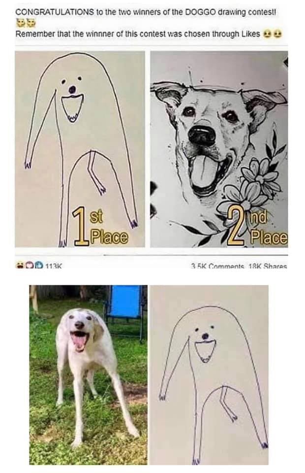 CONGRATULATIONS to the two winners of the DOGGO drawing contest