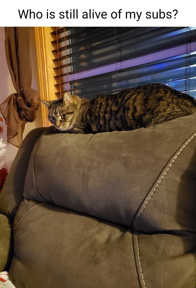 SS Who is still alive of my subs? iFunny