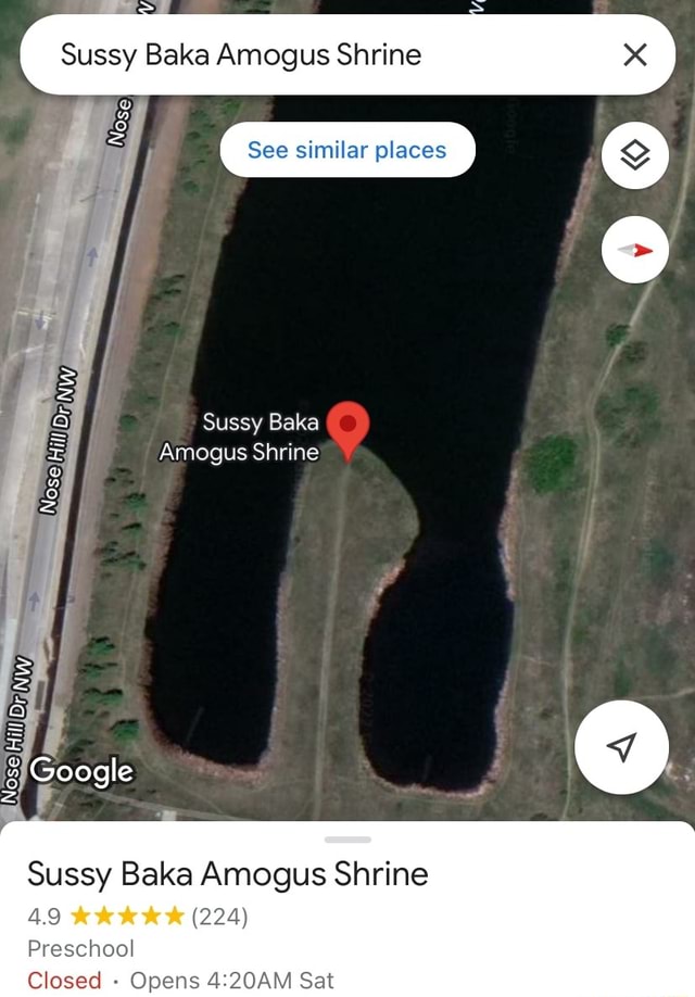 Sussy Baka Amogus House (I can't find it in google maps anymore after  seeing this post) : r/amogus