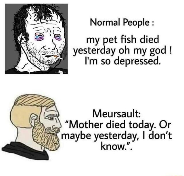 Normal People my pet fish died yesterday oh my god ! I'm so depressed. Meursault as" "Mother