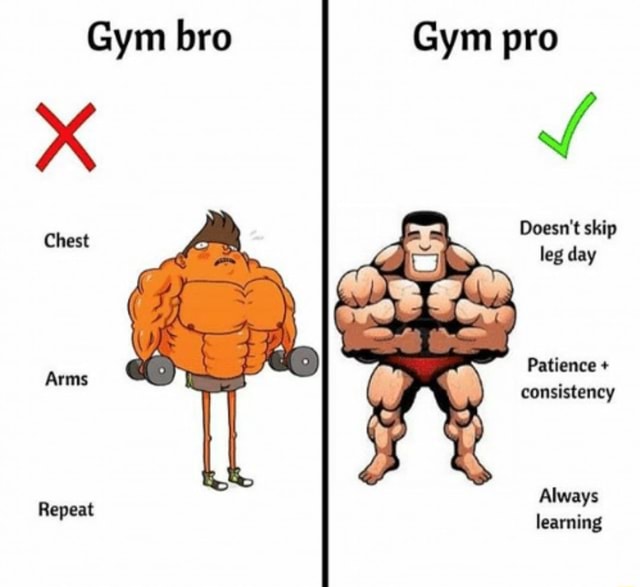 Gym Bro Only Arms | Sticker