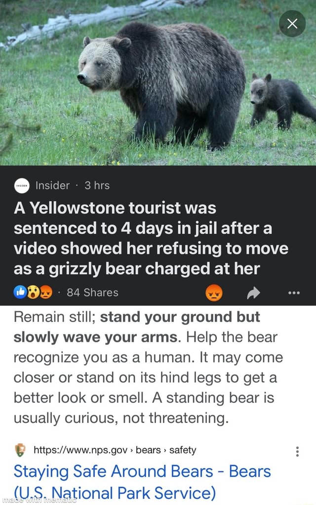 Insider - 3 hrs A Yellowstone tourist was sentenced to 4 days in jail ...