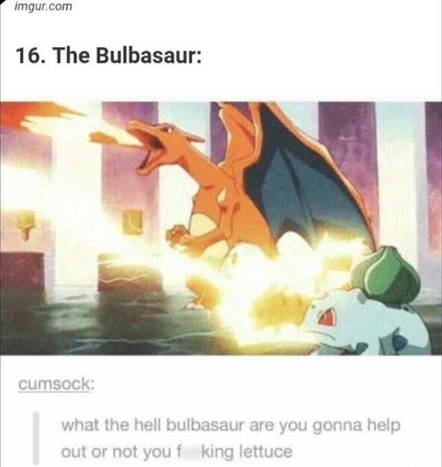 16. The Bulbasaur CUMSOCK what the hell bulbasaur are you gonna help