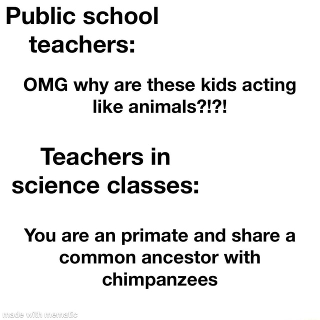 Public school teachers: OMG why are these kids acting like animals