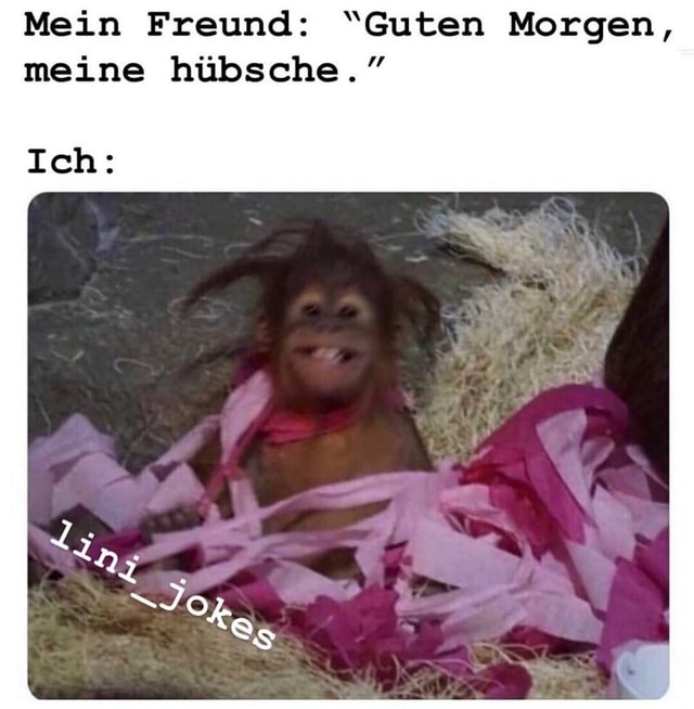 Mein Freund Guten Morgen Meine Hubsche Ich Keke