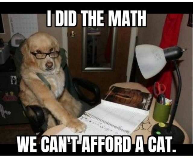 DID THE MATH WE CAN'T AFFORD A CAT. - iFunny