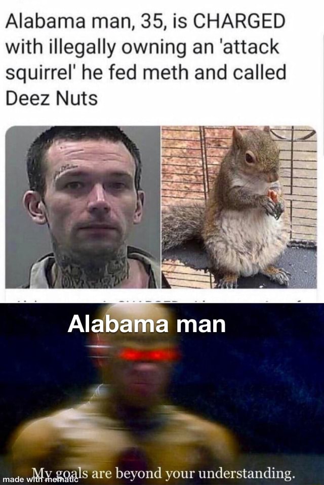 Alabama man, 35, is CHARGED with illegally owning an 'attack squirrel ...