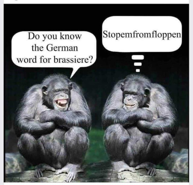 Do you know from floppen the German word for brassiere? America’s best pics and videos