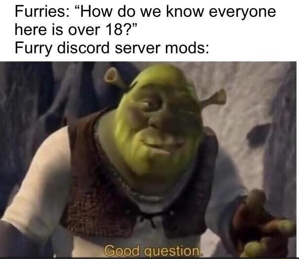 Furries How Do We Know Everyone Here Is Over 18 Furry Discord Server Mods