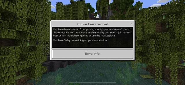 You've banned You have been banned from playing multiplayer in ...