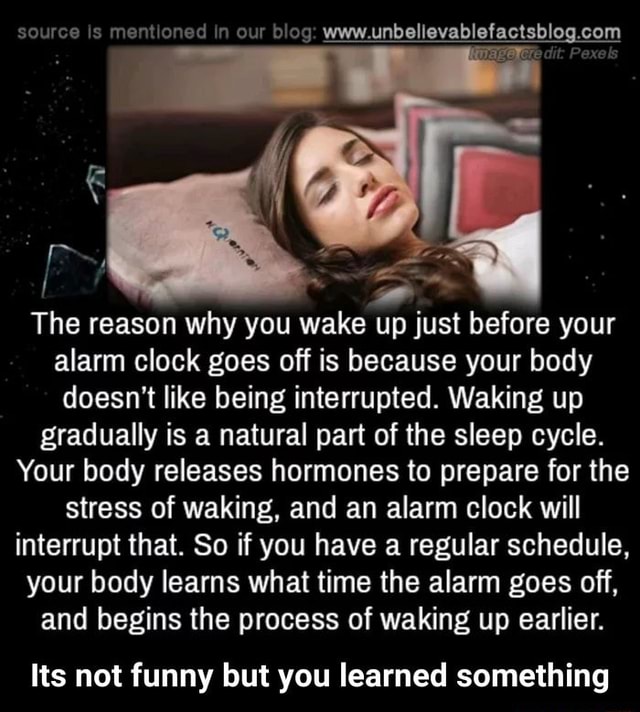 The reason why you wake up just before your alarm clock goes off is
