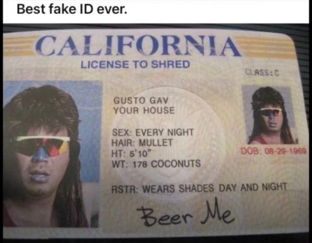 House Of Yes Fake Id