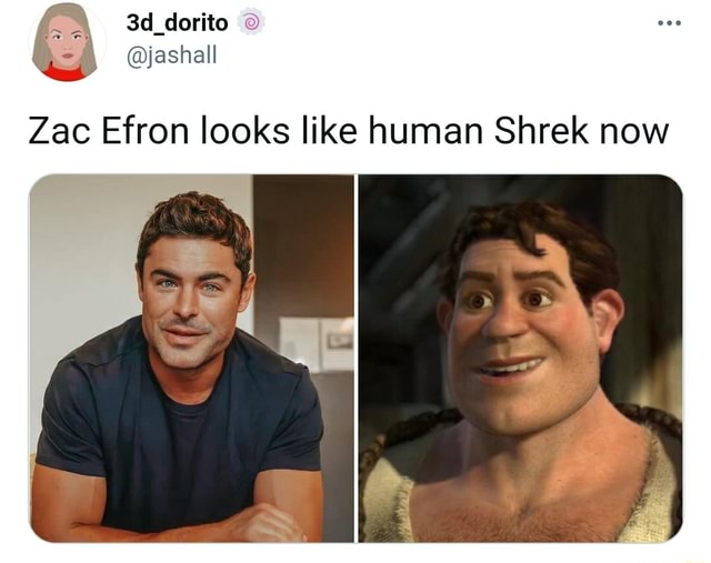 Zac Efron looks like human Shrek now - iFunny