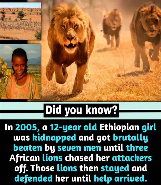 Did you know? In 2005, a 12-year old Ethiopian girl was kidnapped and ...