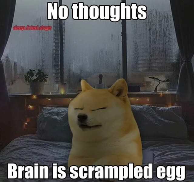 No Thoughts Brain Is Scrampled Egg