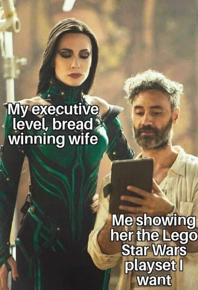 Me Showing My Wife The Lego Set I Want