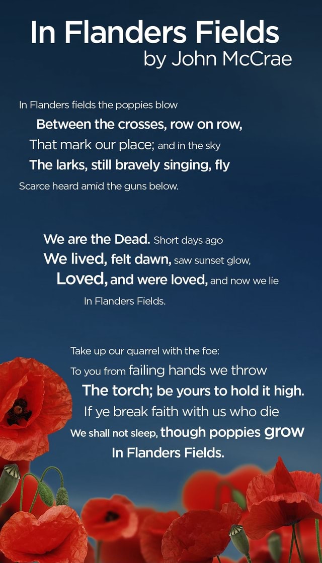 Birchwood Shopping Centre on X: In Flanders fields the poppies blow  Between the crosses, row on row, That mark our place; and in the sky The  larks, still bravely singing, fly Scarce