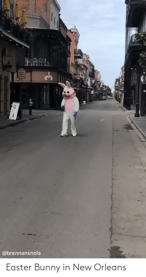 Easter Bunny in New Orleans brennansnola Easter Bunny in New Orleans America’s best pics
